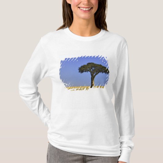 マサイマラの草原に立つ一本のアカシア Tシャツ (正面)