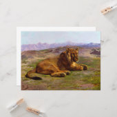 マサイマラの野生のライオン カード (正面/裏面インサイチュ)