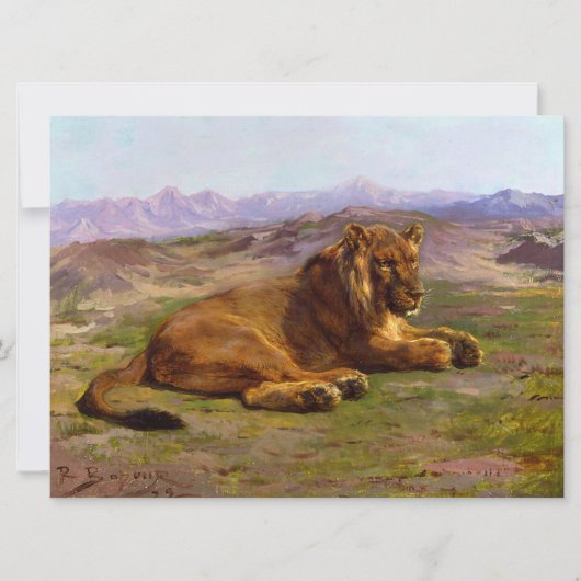 マサイマラの野生のライオン カード (正面)