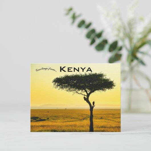 マサイマラ国庫一覧 ポストカード (スタンド正面)