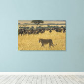 マサイマラ国立保護区，ケニア，アフリカ キャンバスプリント (インサイチュ (ウッドフロア))