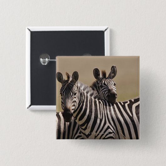 マサイマラ国立保護区(ケニア)、2005年7月3日 缶バッジ (正面&裏面)