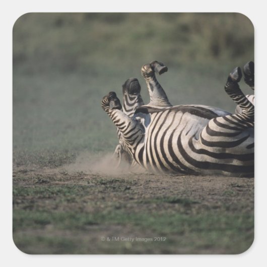 マサイマラ国立保護区（ケニア） 2 スクエアシール (正面)