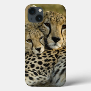 マサイマラ2の子連れチーター、チーター、Acinonyx jubatus iPhone 13ケース