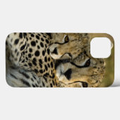 マサイマラ2の子連れチーター、チーター、Acinonyx jubatus Case-Mate iPhoneケース (裏面 (横))