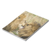 マサイマラ・ケニア ノートパッド (回転)