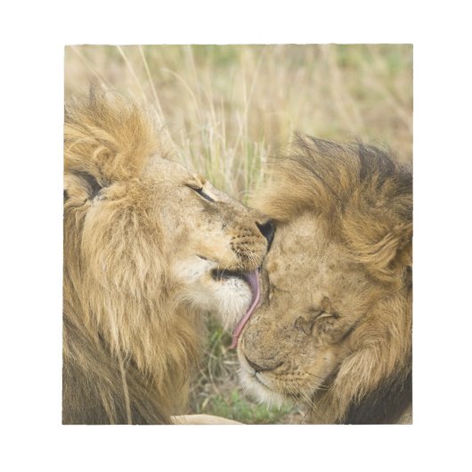 マサイマラ・ケニア ノートパッド (正面)