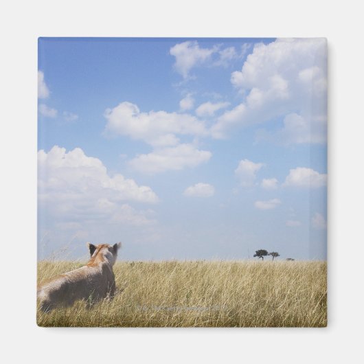 マサイマラ・ケニア マグネット (正面)