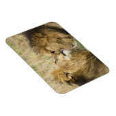 マサイマラ・ケニア マグネット (右側)