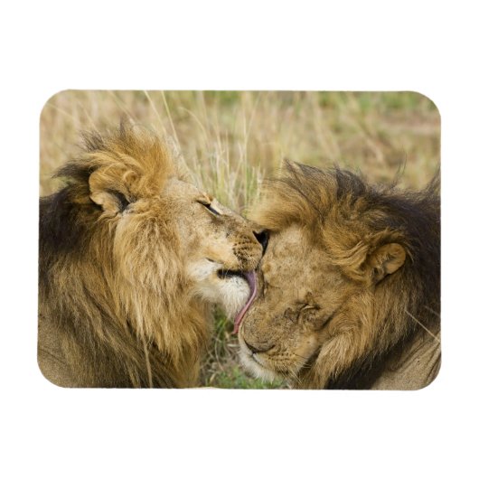 マサイマラ・ケニア マグネット (横)