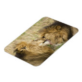 マサイマラ・ケニア マグネット (左側)