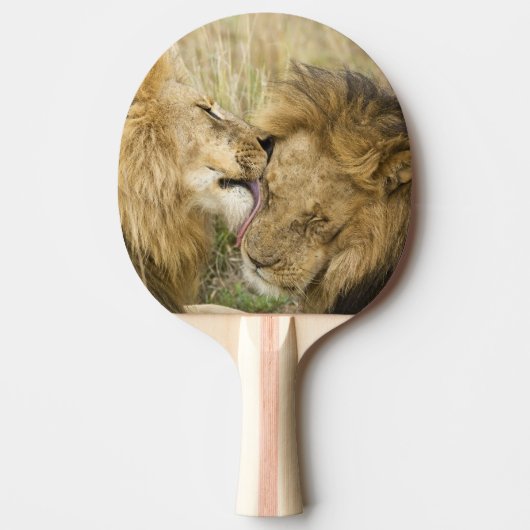 マサイマラ・ケニア 卓球ラケット (正面)