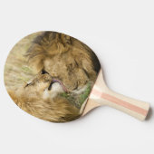 マサイマラ・ケニア 卓球ラケット (横)