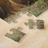 マサイマラ・ケニア | 雄ライオン ジグソーパズル (側面)