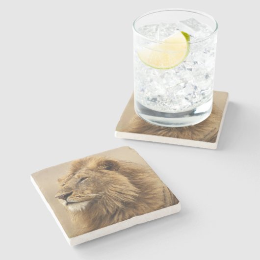 マサイマラ・ケニア | 雄ライオン ストーンコースター (横)