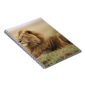 マサイマラ・ケニア | 雄ライオン ノートブック (右側)