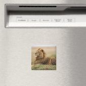 マサイマラ・ケニア | 雄ライオン マグネット (インサイチュ (食洗機))