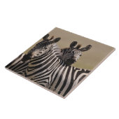 マサイ族のマラの国立保護区、ケニヤ、7月2005日3日 タイル (側面)