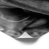 マサイ族の戦士 ポスター (コーナー)