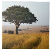 マサイ独身の·マラの草原のアカシアの木 タイル (正面)