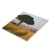 マサイ独身の·マラの草原のアカシアの木 タイル (側面)