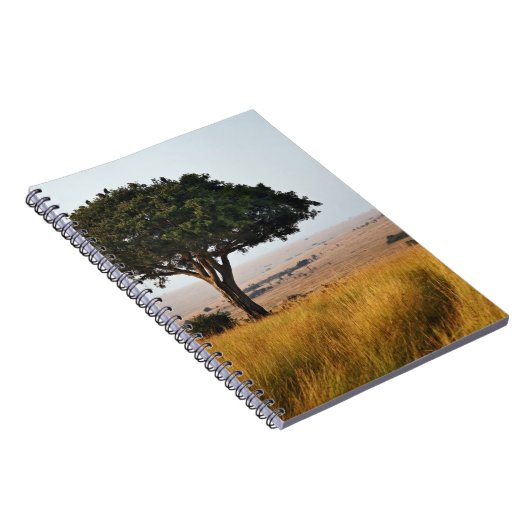 マサイ独身の·マラの草原のアカシアの木 ノートブック (右側)