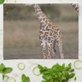 マサイ・キリン キッチンタオル (折り畳み)