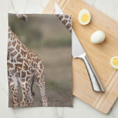 マサイ・キリン キッチンタオル (四つ折り)