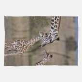 マサイ・キリン キッチンタオル (横)