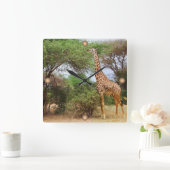 マサイ・キリン スクエア壁時計 (ホーム)