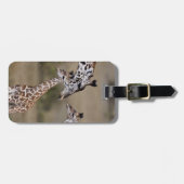 マサイ・キリン ラゲッジタグ (正面横)
