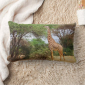 マサイ・キリン ランバークッション (ブランケット)