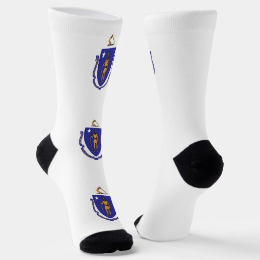 マサチューセッツ地球に優し州旗を持つ女性用ソックス ソックス (傾斜あり)