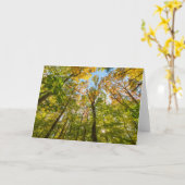 マサチューセッツ州アメスベリーの森の秋 カード (黄色い花)