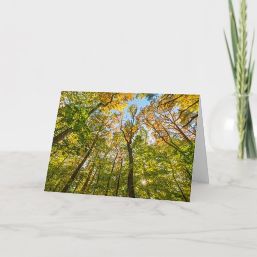 マサチューセッツ州アメスベリーの森の秋 カード (正面)