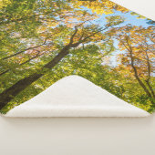 マサチューセッツ州アメスベリーの森の秋 シェルパブランケット (3/4)