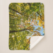 マサチューセッツ州アメスベリーの森の秋 シェルパブランケット (正面)