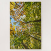 マサチューセッツ州アメスベリーの森の秋 ジグソーパズル (縦)