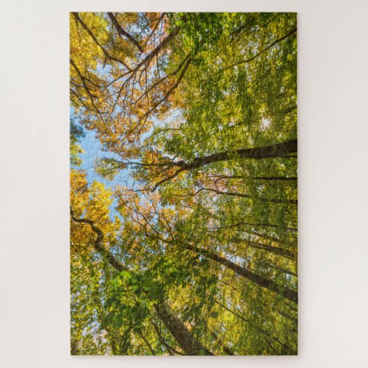 マサチューセッツ州アメスベリーの森の秋 ジグソーパズル (縦)