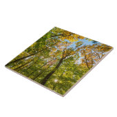 マサチューセッツ州アメスベリーの森の秋 タイル (側面)