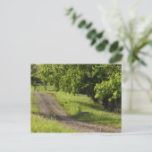 マサチューセッツ州イプスウィッチの農道。 ポストカード (スタンド正面)