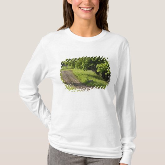 マサチューセッツ州イプスウィッチの農道 Tシャツ (正面)