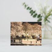 マサチューセッツ州セイラムコモン スノー写真 ポストカード (スタンド正面)