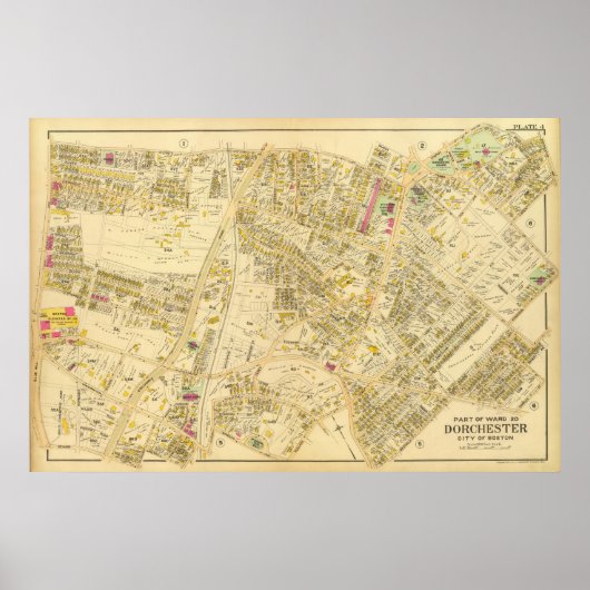 マサチューセッツ州ドーチェスター7 ポスター (正面)