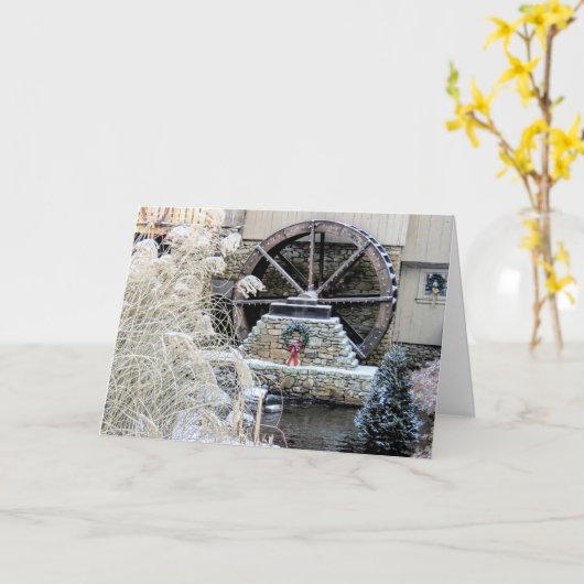 マサチューセッツ州プリーマスにあるプリモス・グリストミル カード (黄色い花)