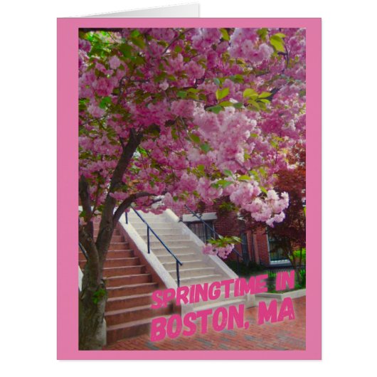 マサチューセッツ州ボストンの春 (正面)