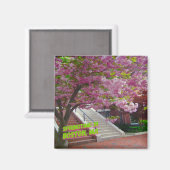 マサチューセッツ州ボストンの春 マグネット (正面/裏面)