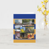 マサチューセッツ州ボストン カード (黄色い花)