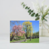 マサチューセッツ州ボストン – ボストンガーデンズポストカード ポストカード (スタンド正面)