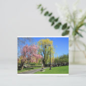 マサチューセッツ州ボストン – ボストンガーデンズポストカード ポストカード (スタンド正面)